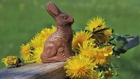 Jó hír húsvétra: Rendben vannak a csokinyuszik