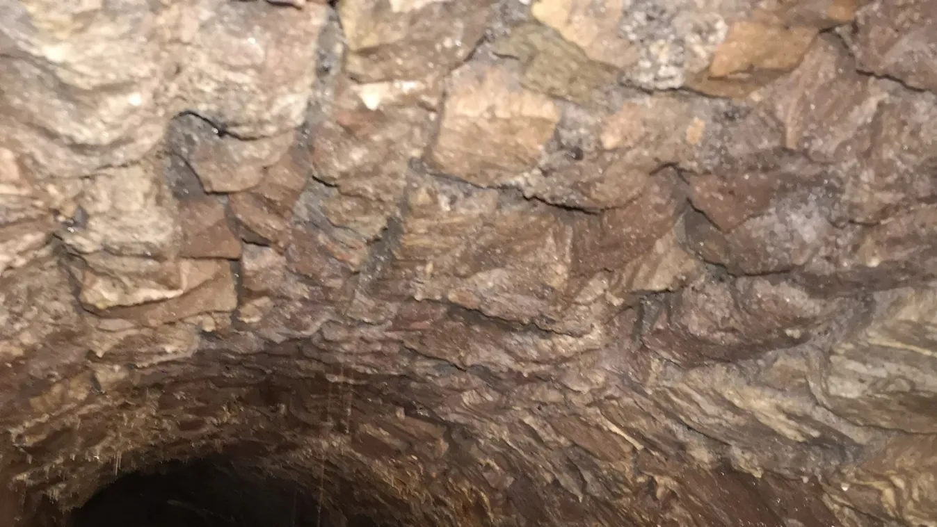 Villanyszerelők bukkantak titkos alagútra Walesben