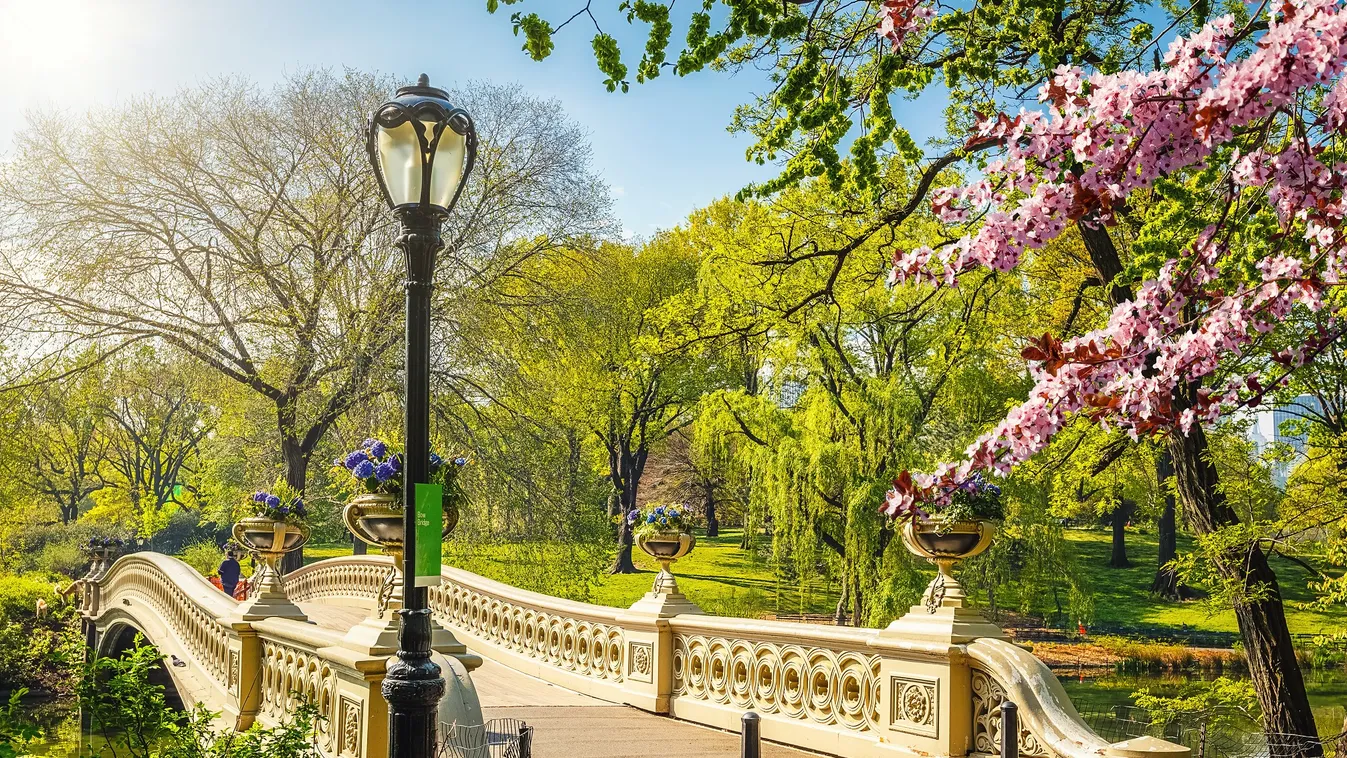 Virtuális sétát tehetünk a Central Parkban és koncertezhetünk Tokióban is