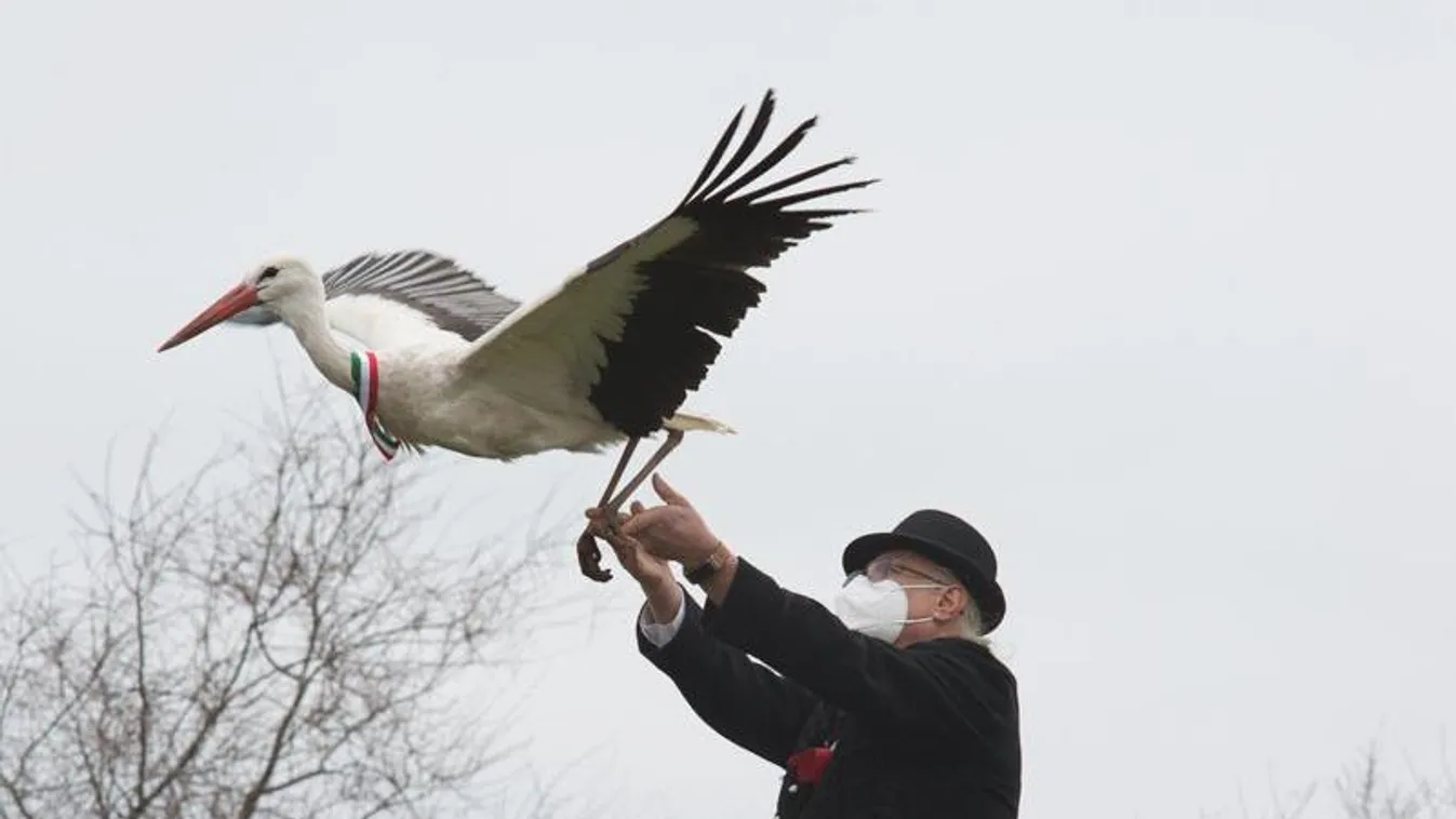 13 gyógyult gólyát engedtek szabadon a Hortobágyi Madárparkban