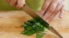 Mindent medvehagymából: sajtkrém, krémleves, főzelék és gombapaprikás is készíthető belőle - Recepttel