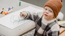 Filléres megoldás: Így tüntetheted el egyszerűen imádott kanapédról a firkákat