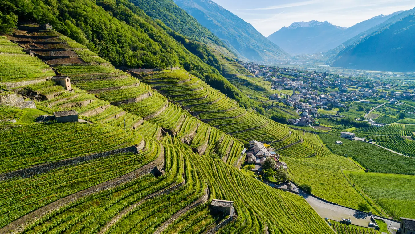 Pinot Grigio, amelyhez Itália legszebb tartományain terem a szőlő