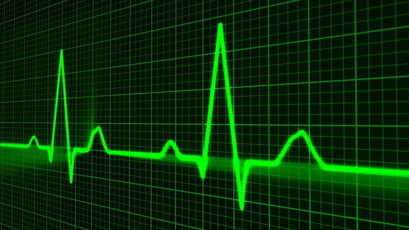 Ezek az ásványi anyagok nélkülözhetetlenek a szív-és érrendszer normál működéséhez