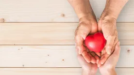 A legfontosabb élelmiszerek, amelyek kipárnázzák idegsejtjeinket