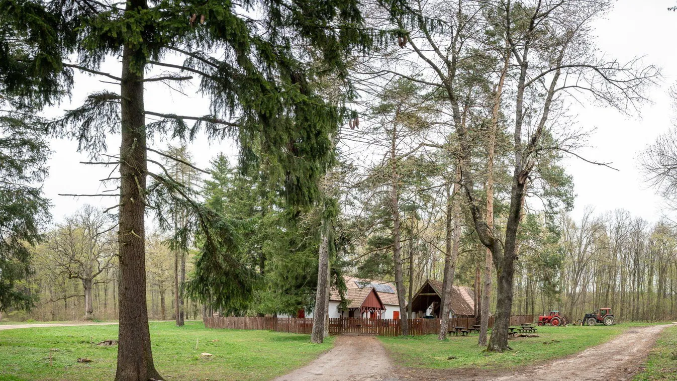 Ez a három erdei szálláshely megújulva várja a látogatókat a Pilisben