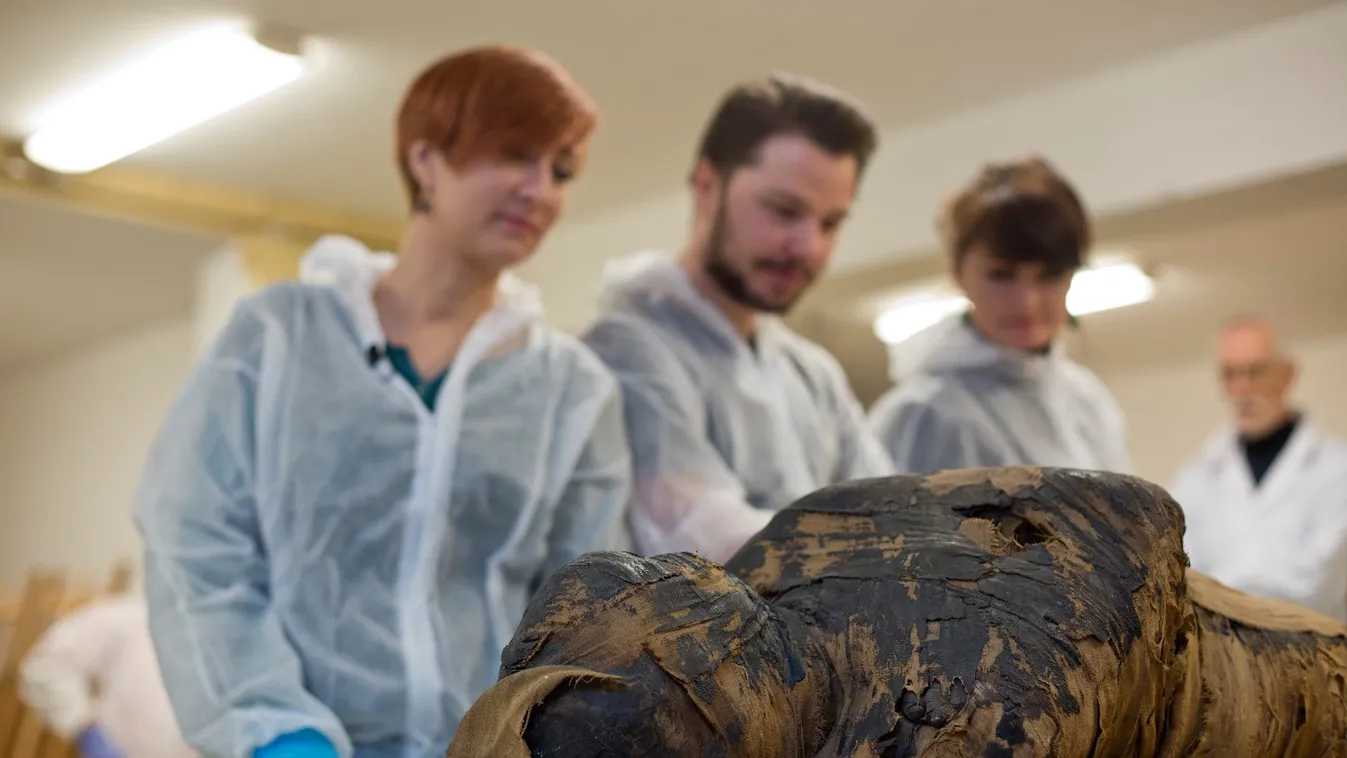Először azonosították várandós nő ókori múmiáját Egyiptomban