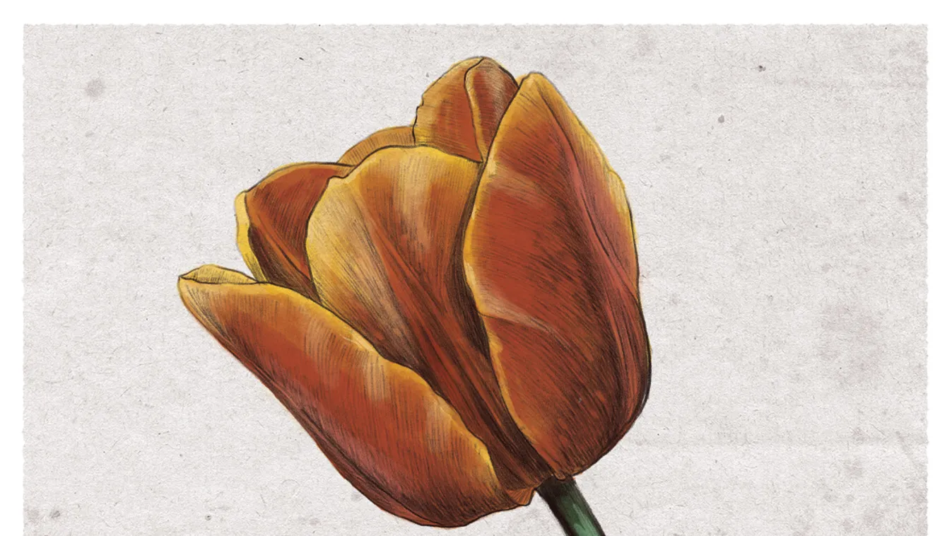 Bűnügyekkel és vagyonokkal fűszerezett tulipánsétára mehetünk a hétvégén
