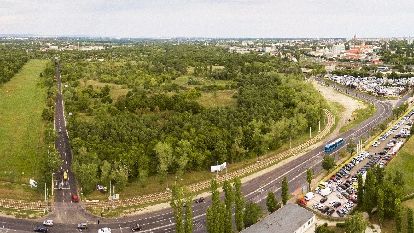 Ismeretlen erdő rejtőzik Budapest mértani közepén