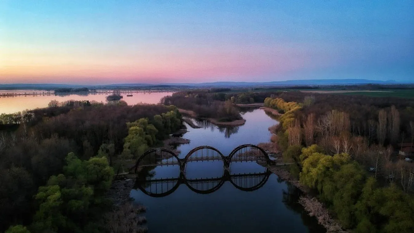 Sok apró állat vesztette életét a tűzvészben a Kis-Balatonnál, de a természet újraéledhet