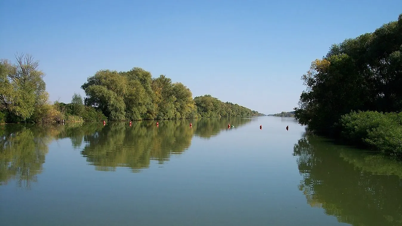 Romantikus csillagles, orchideakeresés és madárhangverseny várja a nemzeti parkokban