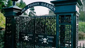 Íme, a világ legveszélyesebb kertje