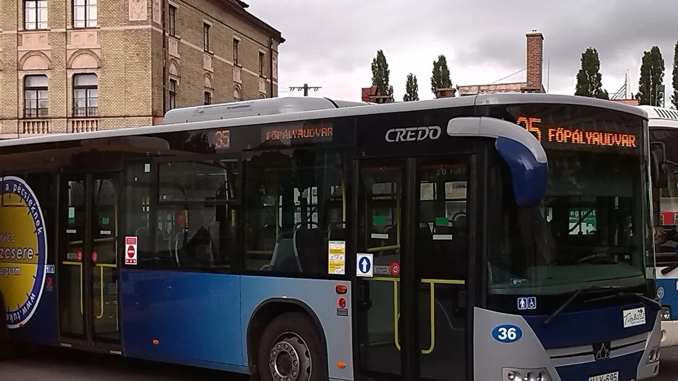 Ingyen szállítják majd a kerékpárokat a buszok a Mecsekre