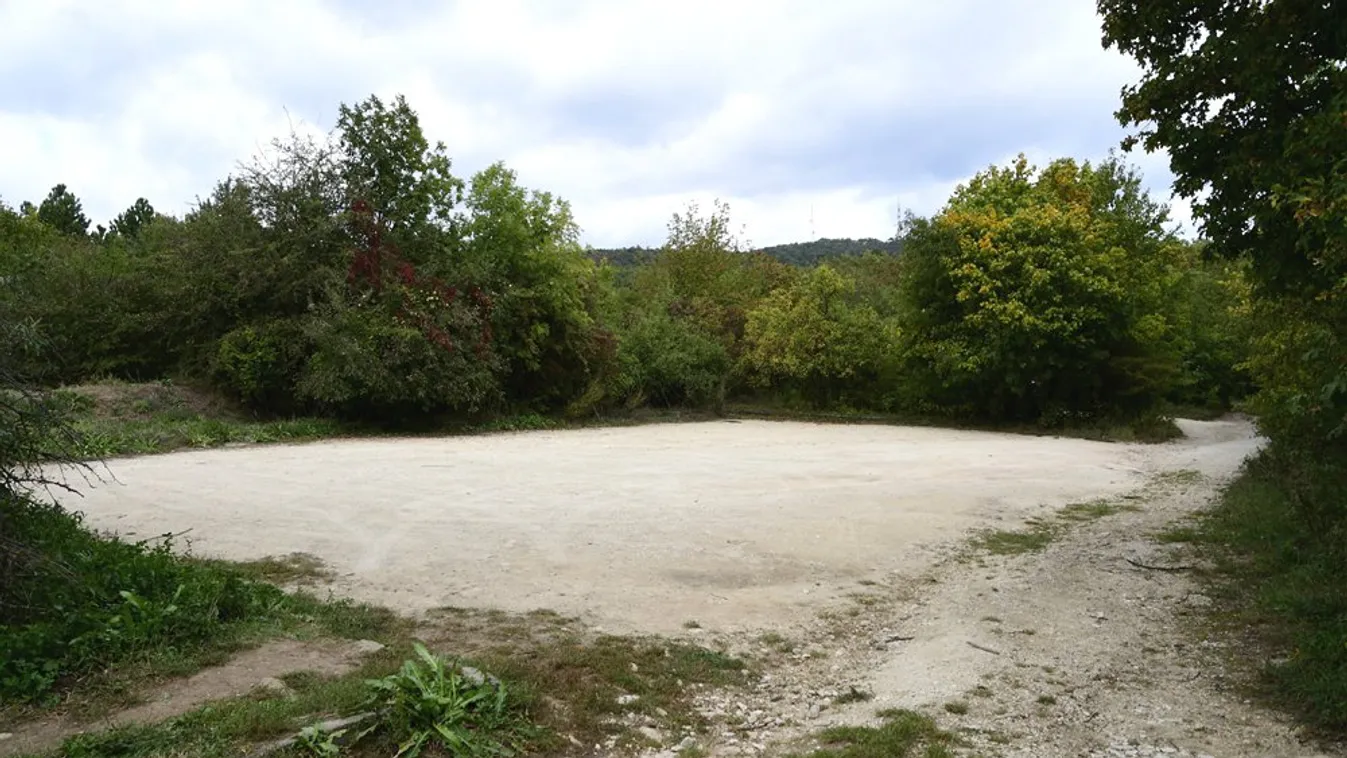 Erdőt telepítenek egy parkoló helyére Budán