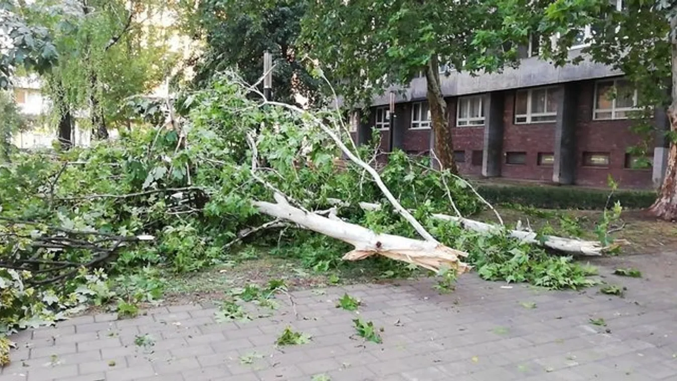 Durva vihar tombolt szerda este: csaknem kétszáz esethez riasztották a tűzoltókat