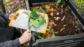 Tuti tippek: így csinálj tökéletes komposztot!