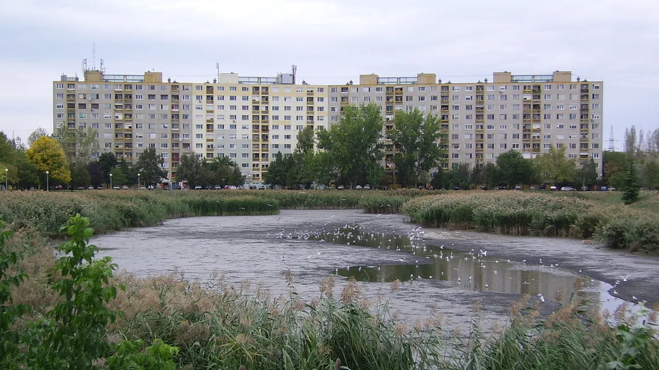 Piac, sütögető és fitneszpark is lesz a szegedi Vértó környékén