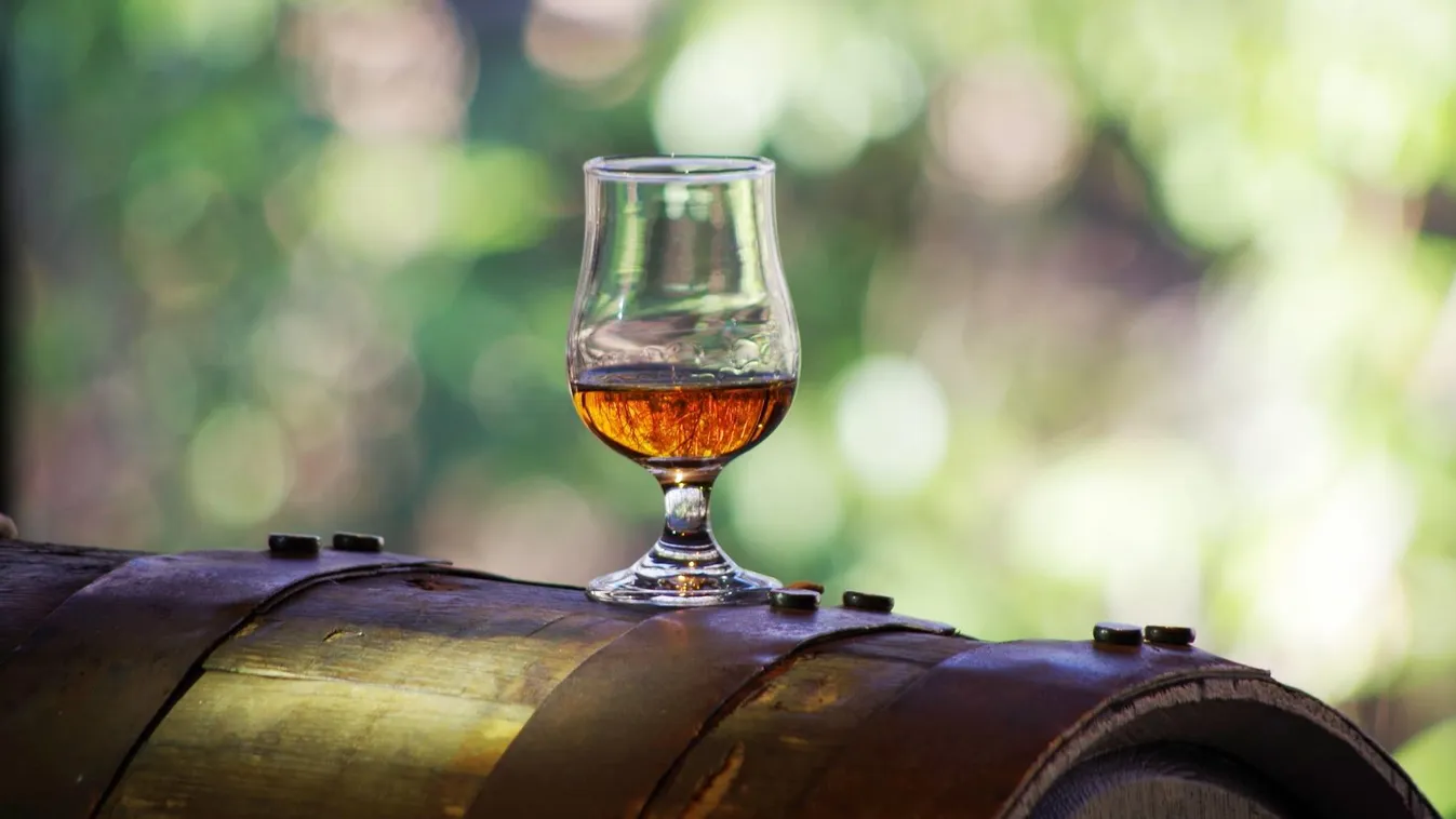 Ez a kutya a whiskys hordók legapróbb hibáit is kiszagolja