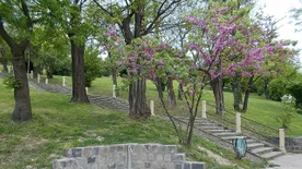 Elültették Magyarország első Miyawaki-erdejét