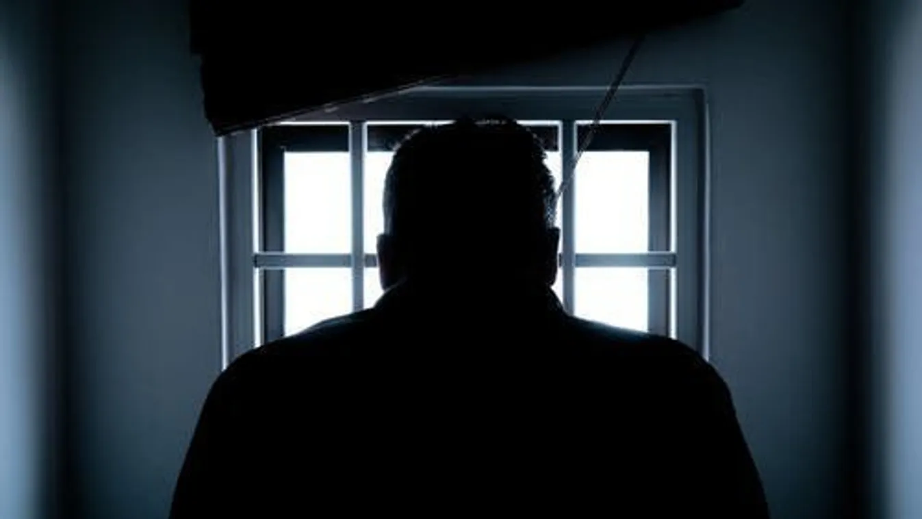 A neten rendelt magának szexuális célra gyermeket a győri pedofil: ennyit ajánlott óránként egy 10-11 éves fiúért - 18+