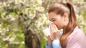 Tíz csodás házi praktika a kínzó&nbsp;allergia&nbsp;ellen