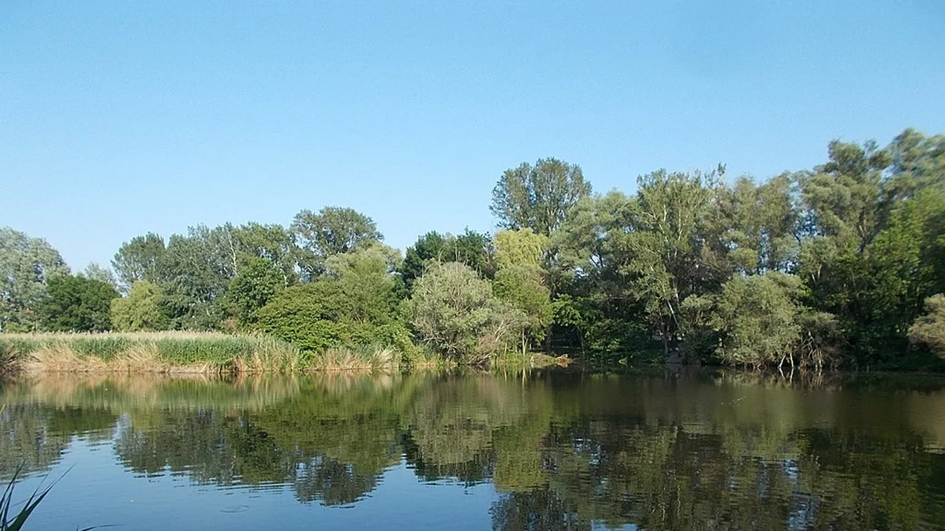 Szabadvízi strandok vízminőségét vizsgálta a Népegészségügyi Központ