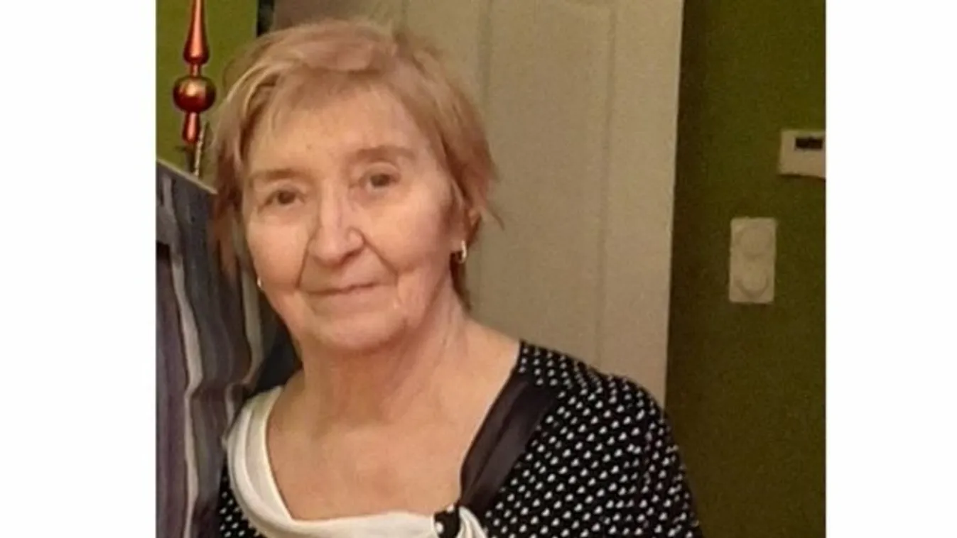 Látta valahol? Vonatra szállt, azóta nem adott magáról életjelet az idős budapesti nő