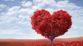 A szívelégtelenség akár még a gyomorban is okozhat ödémát