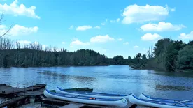 Felfedeztük Magyarország őserdejét: a Szigetközt, amit a Duna hajszálerei hálóznak be