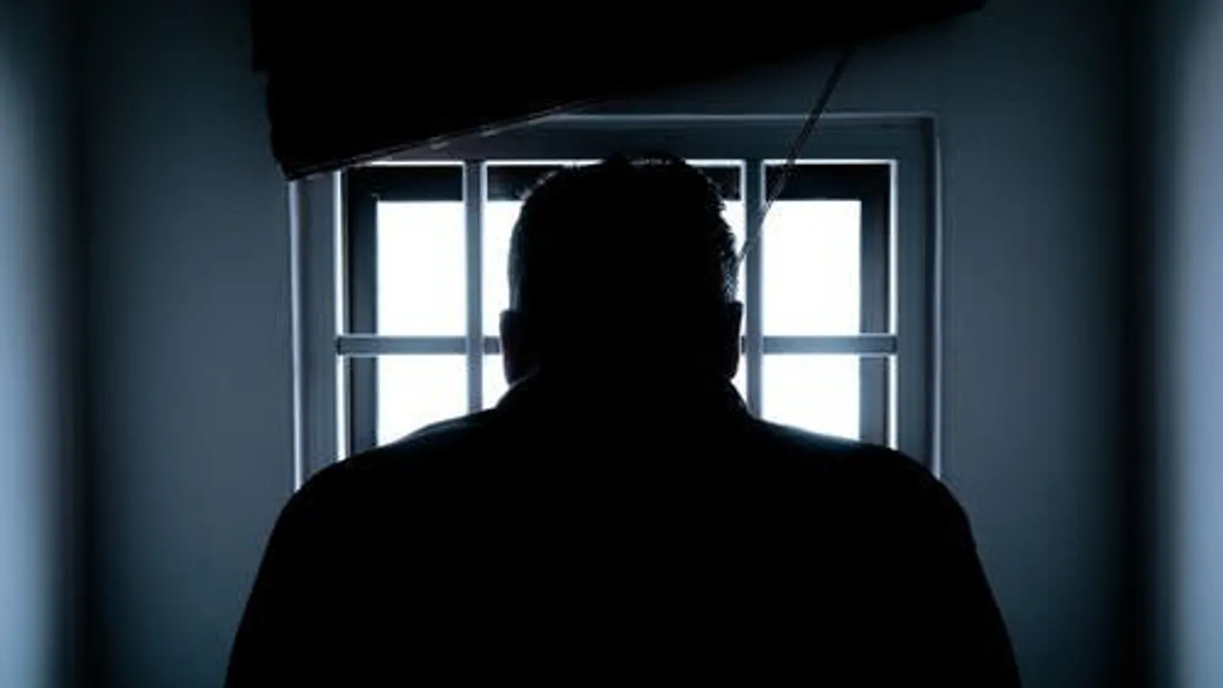 Ilyen még a rémálmokban sincs: horrorfilmbe illő módon kínozta halálra anyját a pécsi szaktolmács