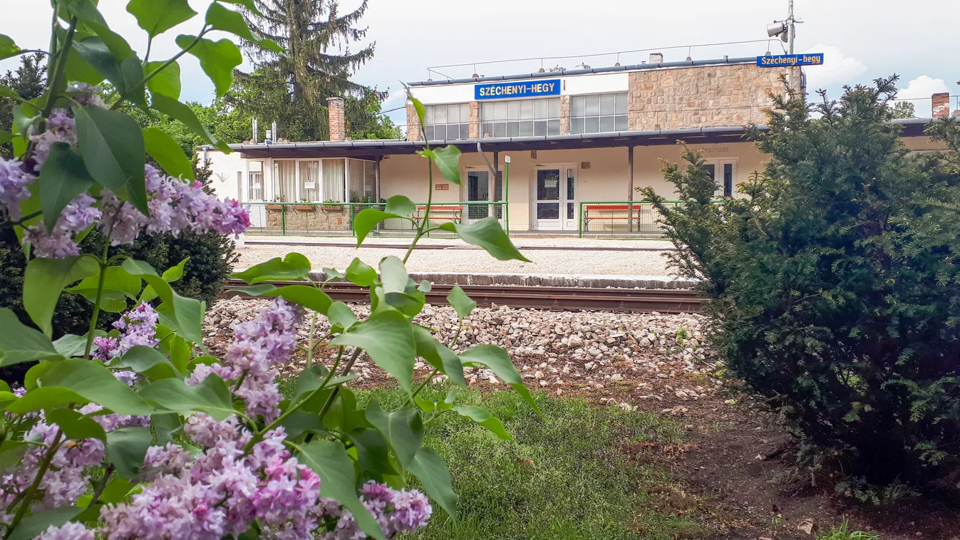 Újraindul a forgalom a Gyermekvasúton