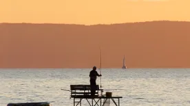 Uniós oltalmat kapott két Balatoni hal