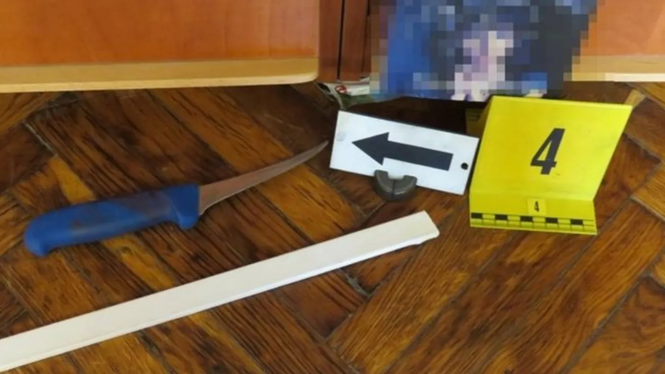 Brutális: Fiatal lány késelt meg egy nőt Tiszaderzsiben