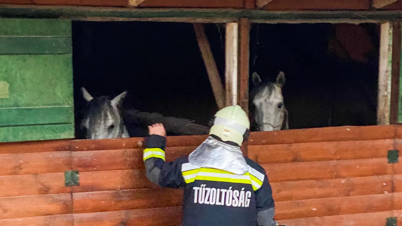 Gyújtogatás történhetett a bükki lovasparkban