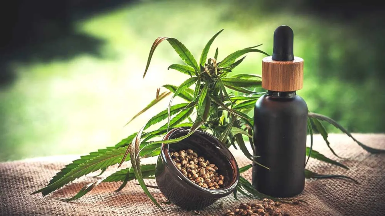 Természetes gyógymódok - Mi a különbség CBD olaj és THC között?