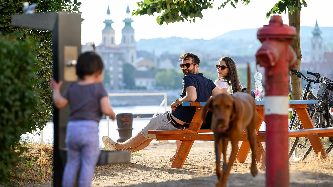 Városi erdőkkel és közvécékkel bővülhet Budapest