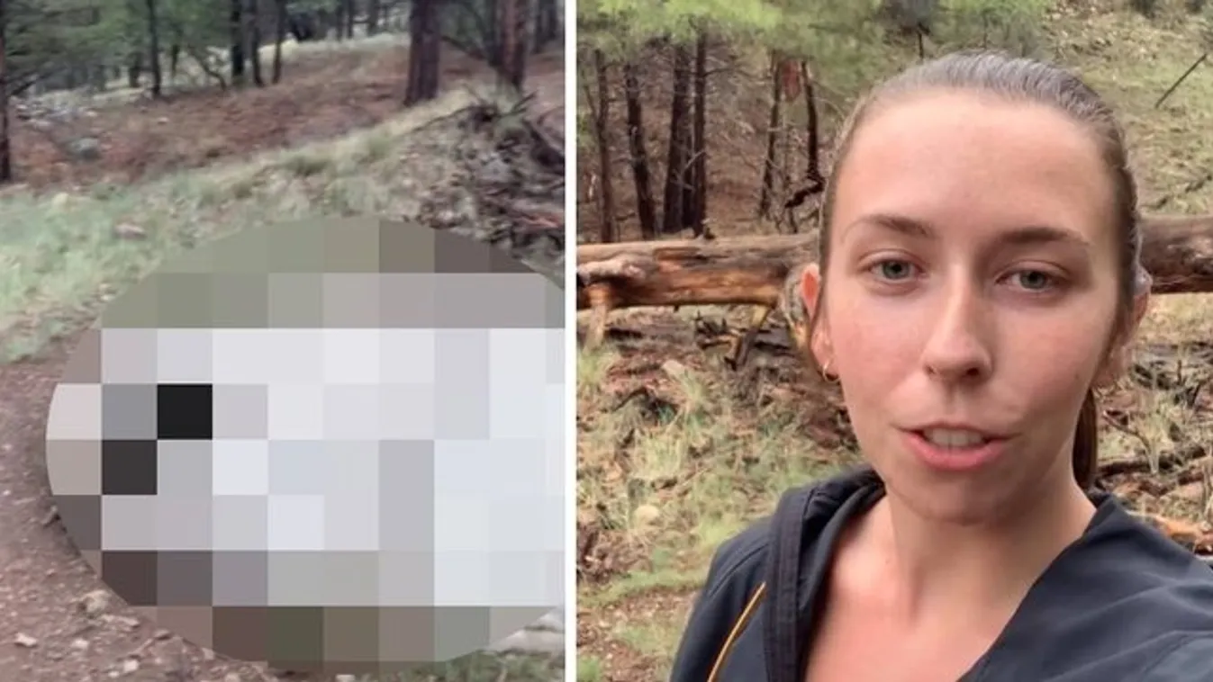 Nagyon úgy tűnik, hogy ez a nő egy UFO-t talált a kertjében – meg is mutatta! videó
