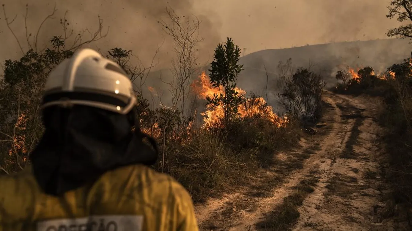 Gyertyás léggömbök miatt lángol a Sao Paulo melletti nemzeti park