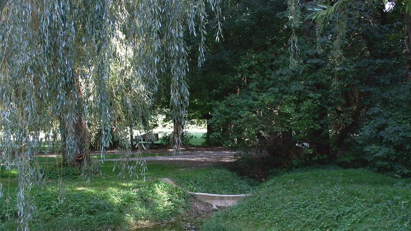 Ingyenes nosztalgiatúrán fedezheti fel a Balatonfüredi-erdőt