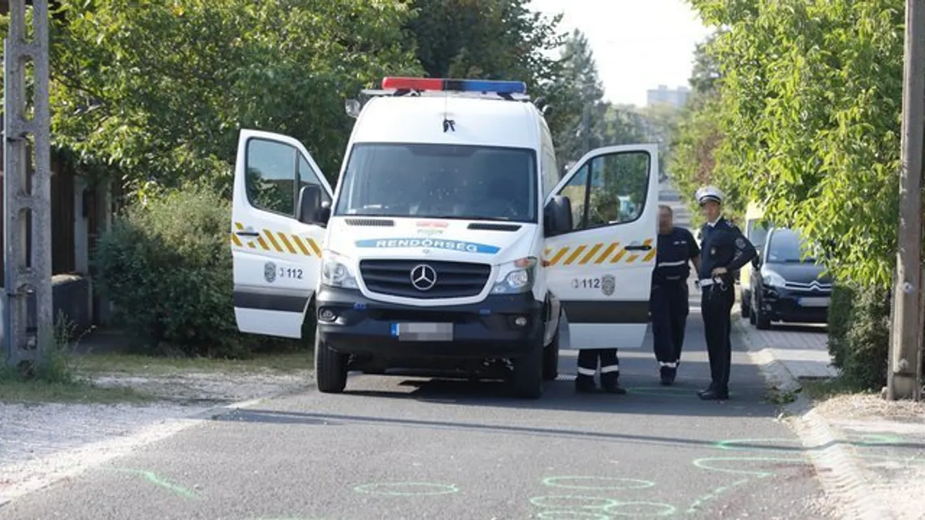 Sokkoló részletek: így végezte ki a kisfiát a kegyetlen férfi