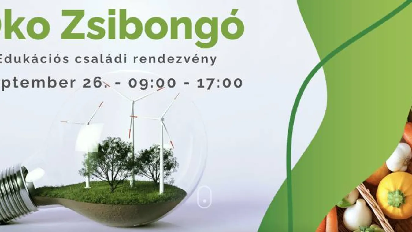 Öko zsibongó a Füvészkertben
