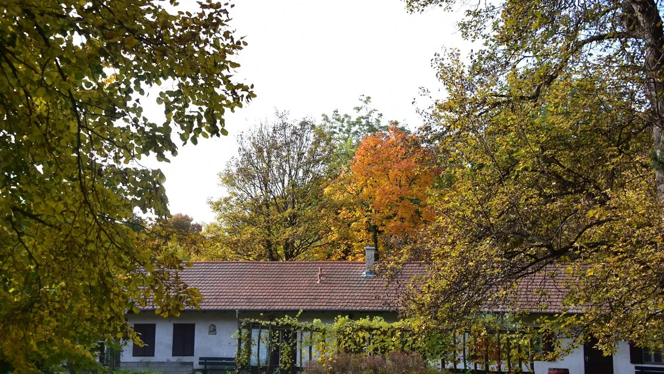 Hangulatos őszi programokkal köszönti a Svábhegy a hétvégét