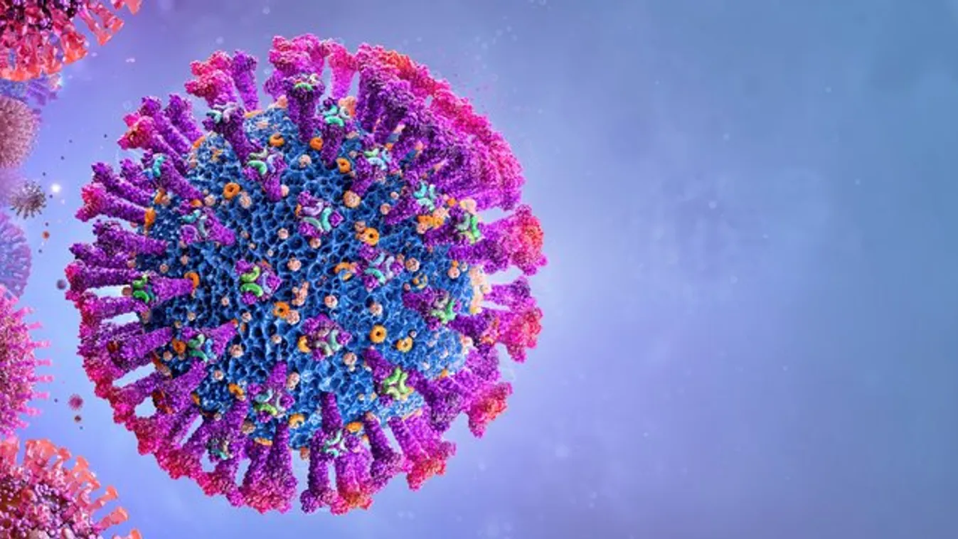 A koronavírusnál is halálosabb lehet a Nipah-vírus