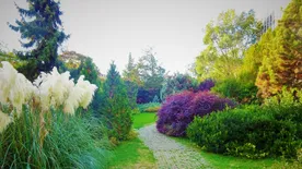 Budán jár az ősz, járjunk mi is vele!