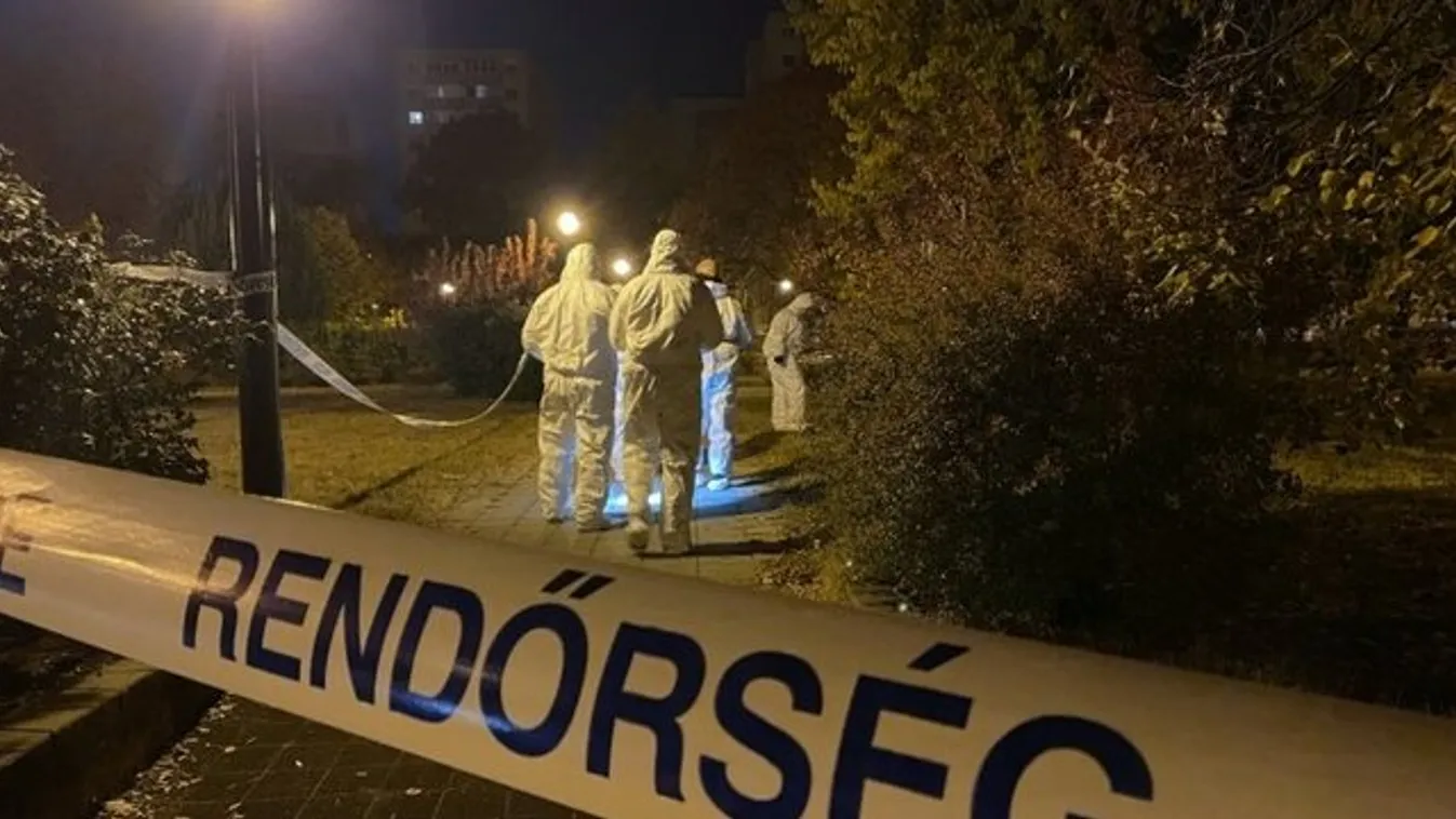 Kegyetlen gyilkosság Csepelen: egy parkban öltek meg egy 47 éves férfit