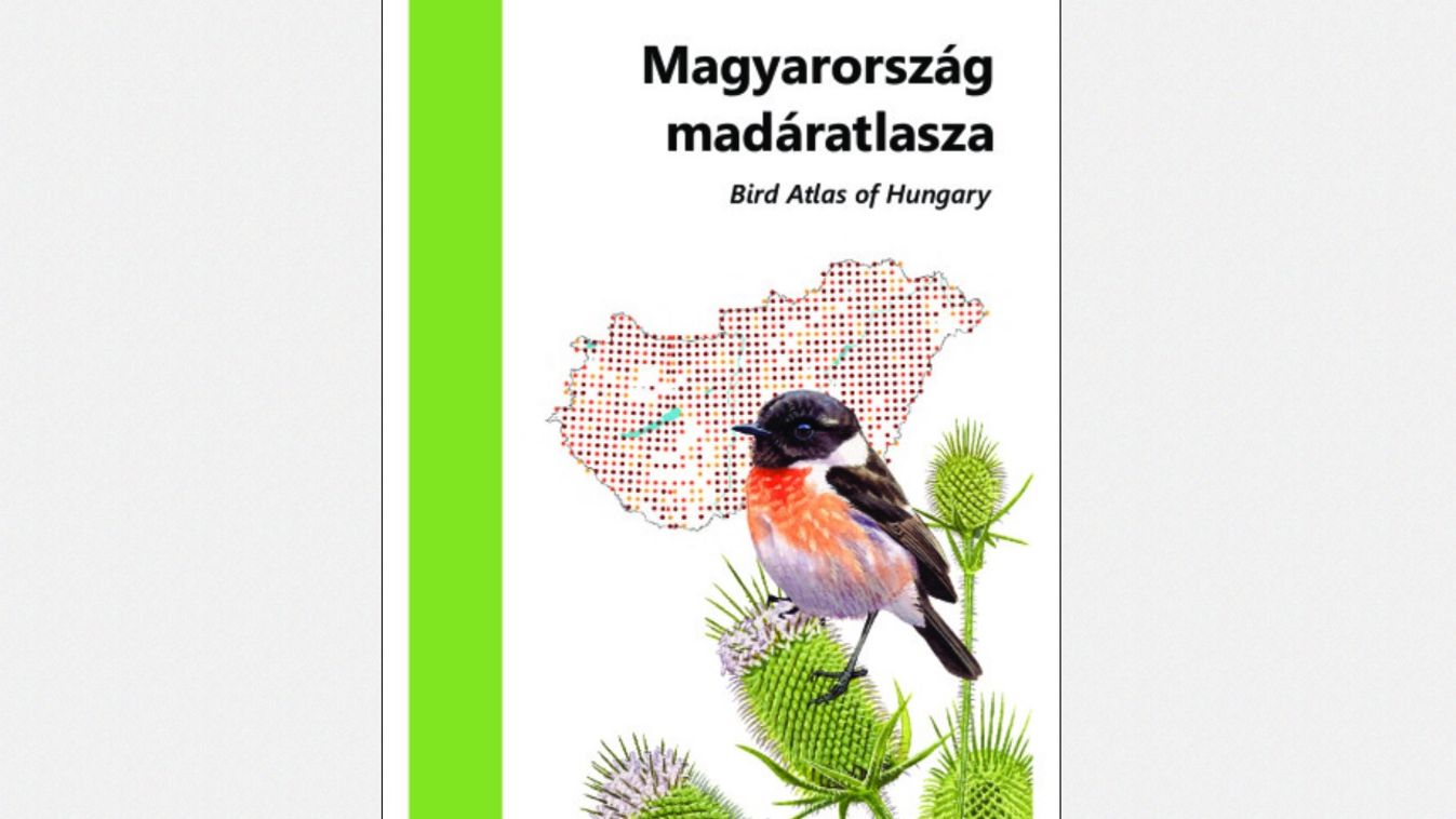 https://cdn.borsonline.hu/2021/10/lXtaf9Tz9fcr_ZgET3DN5PgyEpFhI7MlDkrOyym-6Yw/fill/1347/758/no/1/aHR0cHM6Ly9jbXNjZG4uYXBwLmNvbnRlbnQucHJpdmF0ZS9jb250ZW50L2Y3OTRiODBiMGJhNzQ3ODk5ZjJkMGU3ZWJhYjMxYmNl.jpg