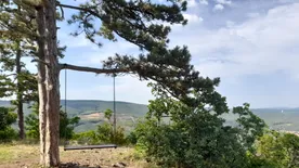 Kiránduljon a Mecsekben, és töltsön egy napot Pécs legfestőibb negyedében!