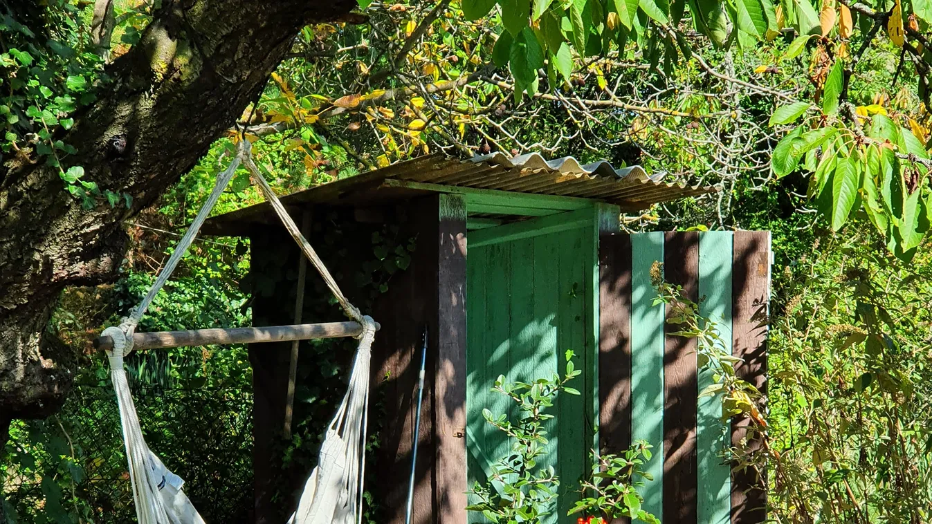 Vegán Hegylakó: Iszonyú sok mindenhez ragaszkodunk a józan ész ellenére