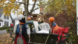 Folyik majd az újbor és gágognak a libák a Skanzen udvarain