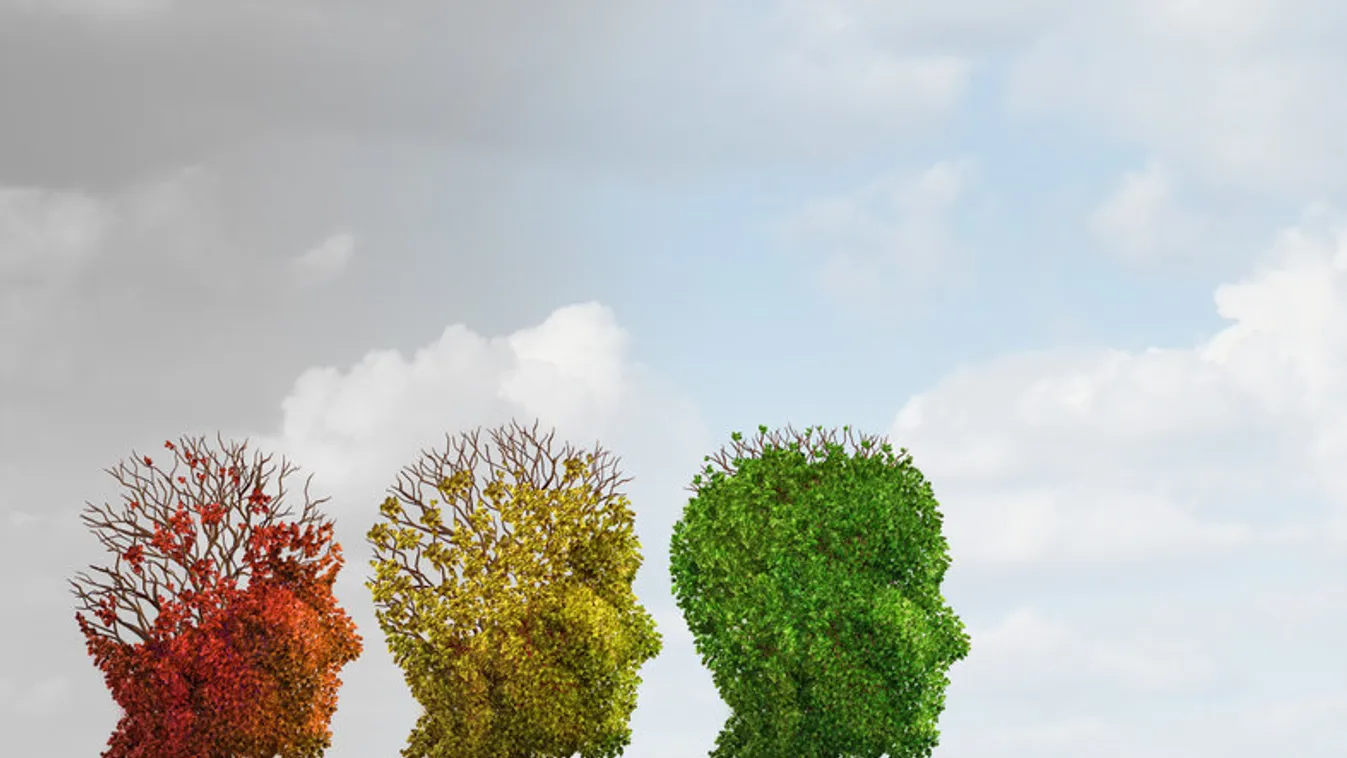 Demencia vs. Alzheimer-kór: Mi a különbség?